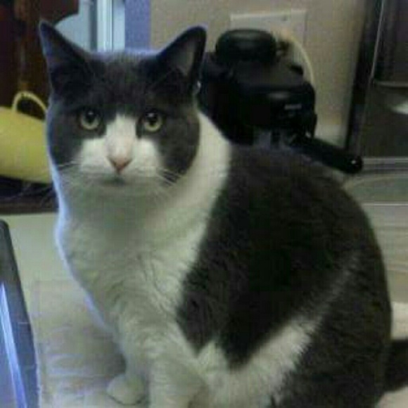 Meet your Posher, Joanne - Picture 4 of 8